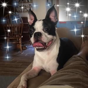 Meet your Posher, Patsy